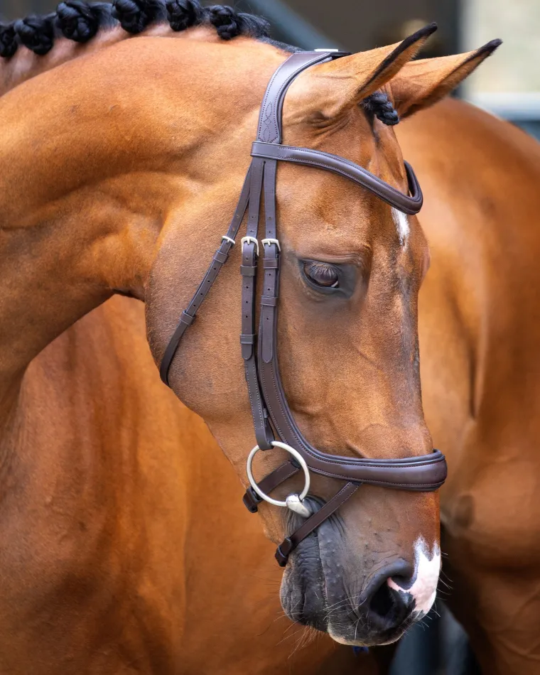 velociti-lusso-ergonomic-curve-ROUEtWPN-1.webp Hot SHIRES EQUESTRIAN Velociti Lusso Ergonomic Curved Flash Bridle
