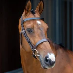 New SHIRES EQUESTRIAN Velociti Lusso Hunter Caveson Bridle Havana