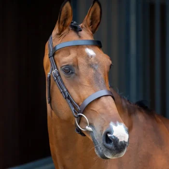 New SHIRES EQUESTRIAN Velociti Lusso Hunter Caveson Bridle Havana