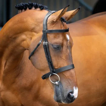 New SHIRES EQUESTRIAN Velociti Lusso Hunter Caveson Bridle Havana