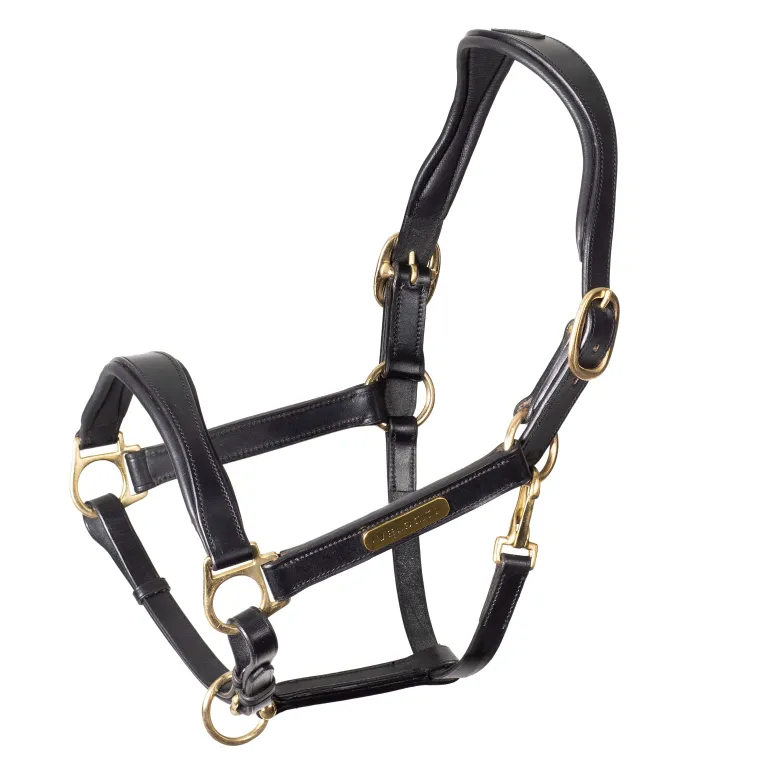 velociti-rapida-cushioned-leat-velgDxXw-1.webp Sale SHIRES EQUESTRIAN Velociti Rapida Cushioned Leather Halter