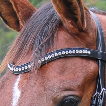 Outlet WORLD EQUSTRN BRNDS Veritas By Vespucci Contoured Browband With Swarovski® Crystals Black