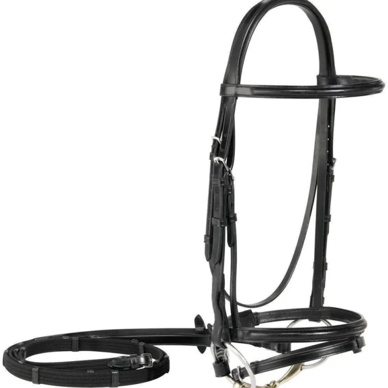 vespucci-plain-raiseddressage-mcugWSAa-0.webp Clearance WORLD EQUSTRN BRNDS Vespucci Plain Raised Dressage Bridle With Flash Black