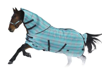 Online KENSINGTON ™ SuperMesh 300 Gram Heavyweight Turnout Blanket