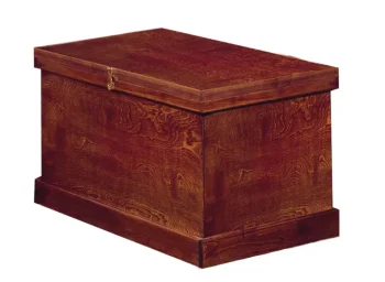 Discount PHOENIX WEST DS Standard Show Trunk