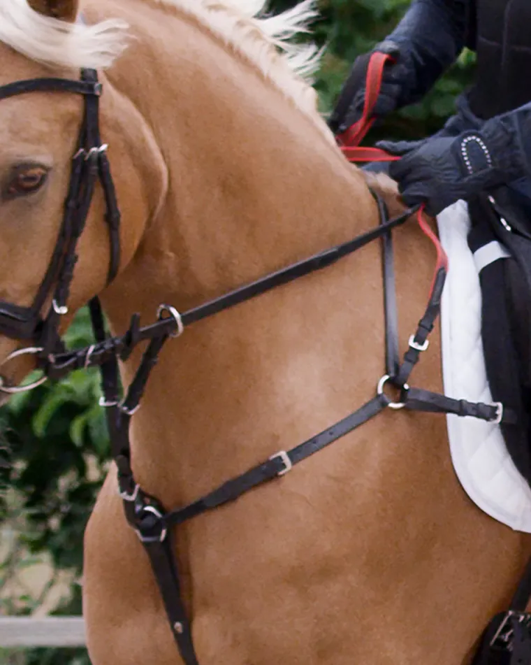 waldhausen-secutrust-breastpla-EqaylcKt-0.webp Best WALDHAUSEN Secutrust Breastplate With Safety Reins