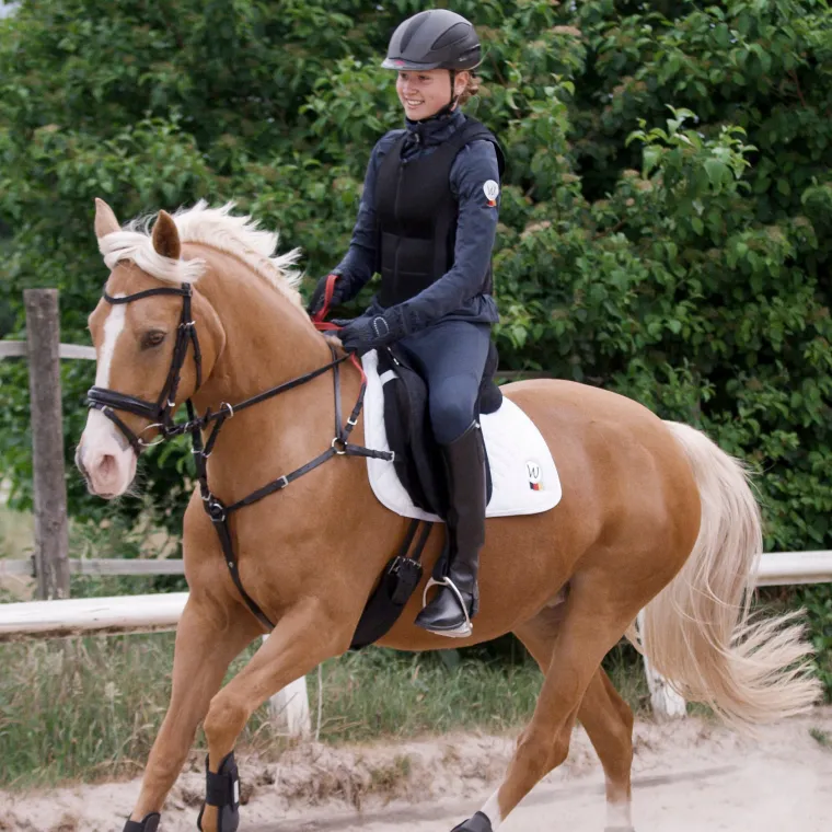 waldhausen-secutrust-breastpla-EqaylcKt-1.webp Best WALDHAUSEN Secutrust Breastplate With Safety Reins