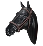 Discount SADDLERY BRANDS INTL Wintec Bridle