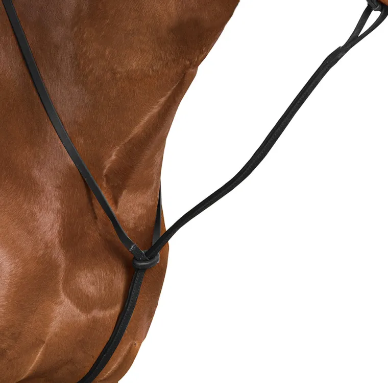 wintec-standing-martingale-wMNLtQUM-0.webp New SADDLERY BRANDS INTL Wintec Standing Martingale