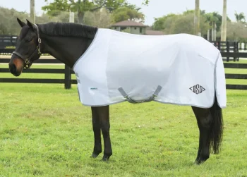 Fashion INTEX EQUESTRIAN Rider’s International™ Fly Sheet