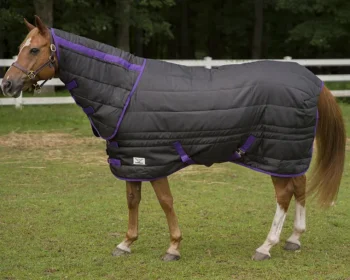 Online JPC EQUESTRIAN TuffRider® Kozy Komfort Combo Stable Blanket