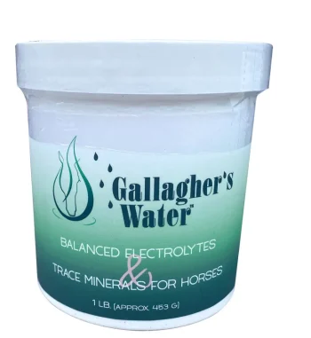 Fashion EQUESTRIBEV Gallagher’s Water™ Balanced Electrolytes & Trace Minerals