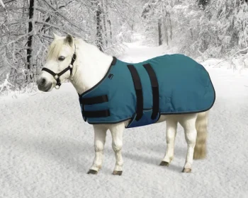 Sale KENSINGTON ™ Signature Mini Medium-Weight Turnout Blanket