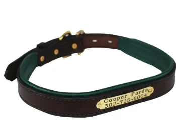 New PERRIS LEATHER Perri’s® Padded Leather Nameplate Dog Collar