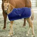 New KENSINGTON ™ Signature Adjustable Small Foal Turnout Blanket