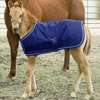 New KENSINGTON ™ Signature Adjustable Small Foal Turnout Blanket