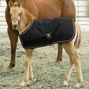 New KENSINGTON ™ Signature Adjustable Small Foal Turnout Blanket