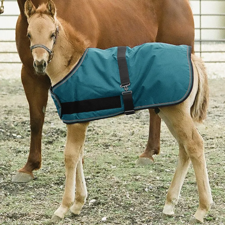 yKuKMqES_4.webp New KENSINGTON ™ Signature Adjustable Small Foal Turnout Blanket