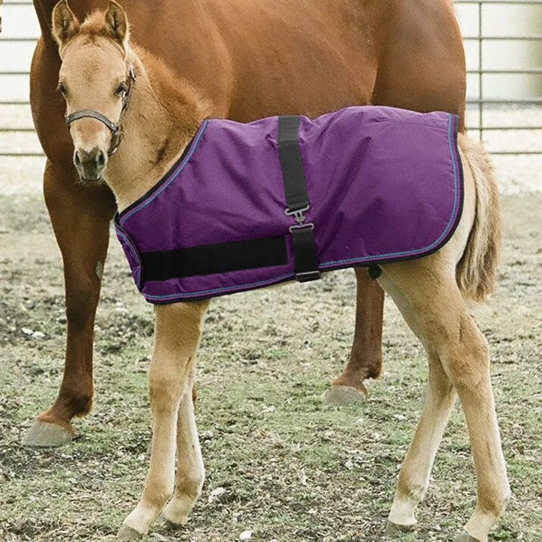 yKuKMqES_5.webp New KENSINGTON ™ Signature Adjustable Small Foal Turnout Blanket