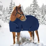 Clearance KENSINGTON ™ Adjustable Weanling Turnout Blanket