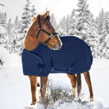 Clearance KENSINGTON ™ Adjustable Weanling Turnout Blanket