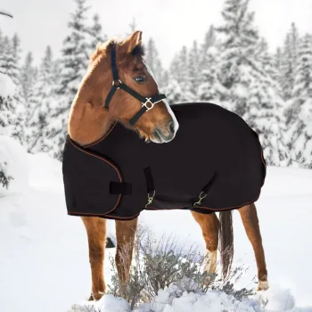 Clearance KENSINGTON ™ Adjustable Weanling Turnout Blanket
