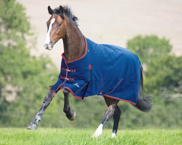 zKLwhWai_0.webp New SHIRES EQUESTRIAN Shires Highlander 300G Blanket
