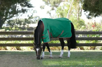 Best WEATHERBEETA ® ComFiTec™ Prelim Standard Neck Medium-Weight Turnout Blanket Dark Green/Red/White