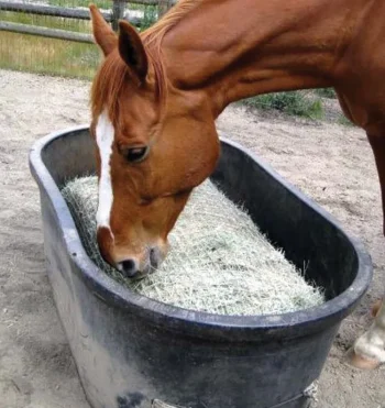 Sale KENSINGTON Freedom Feeder® Bale Size