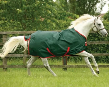 Sale HORSEWARE ® Ireland Rambo® Original 1000D Turnout Sheet Green/Red