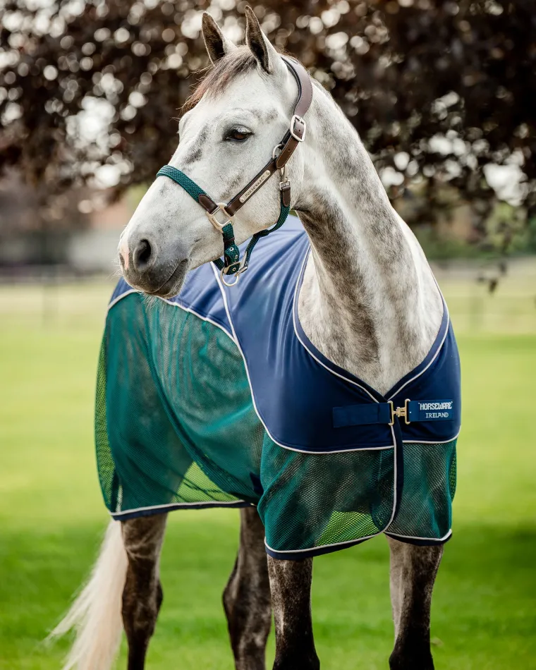 zqDscMDG_3.webp Hot HORSEWARE ® Ireland Signature Sport Cooler Navy/Hunter Green