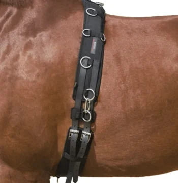 Discount KIEFFER SATTLERWAREN Kieffer Surcingle